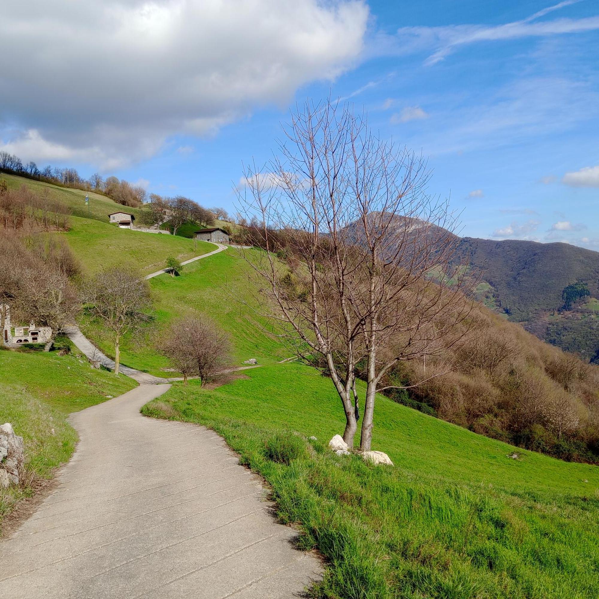 Bellavista Affiliato Best-incoming Holiday home